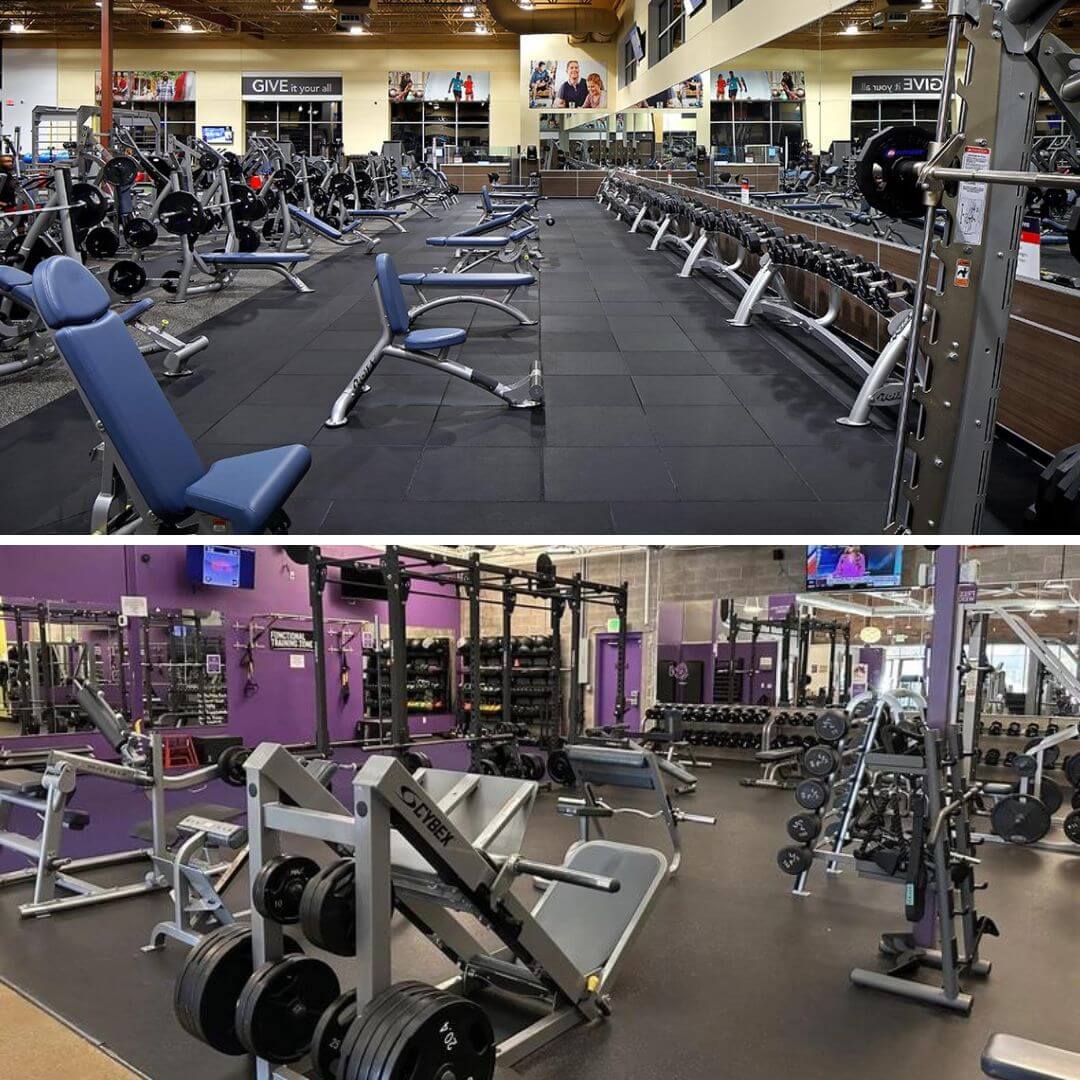 24 hour fitness vs anytime
