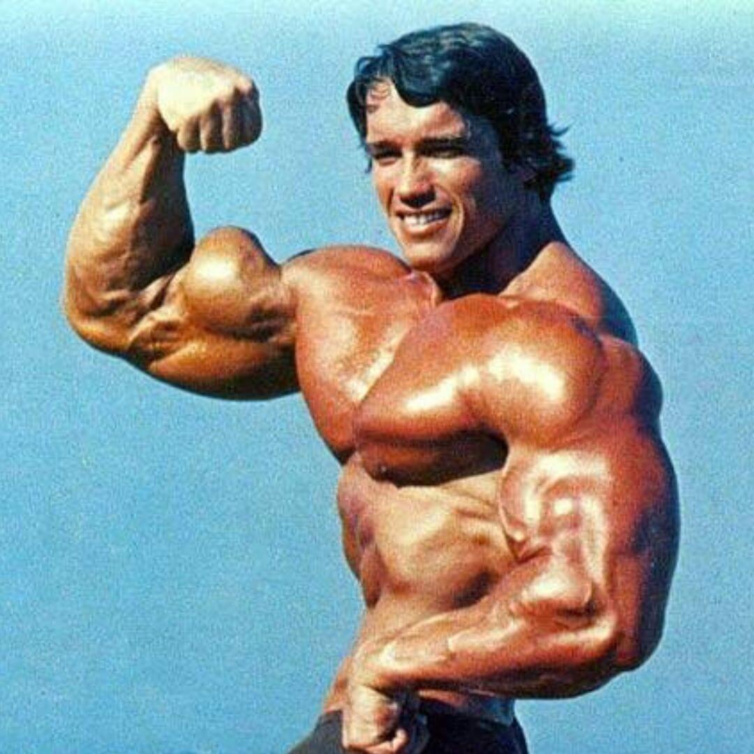 arnold arm workout
