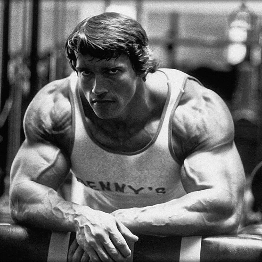 arnold shoulder workout
