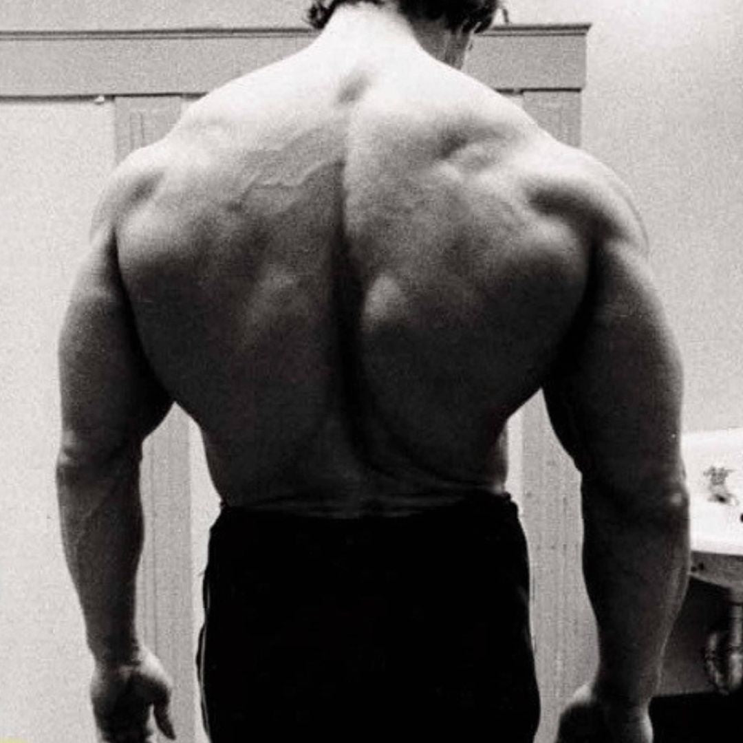 arnolds back