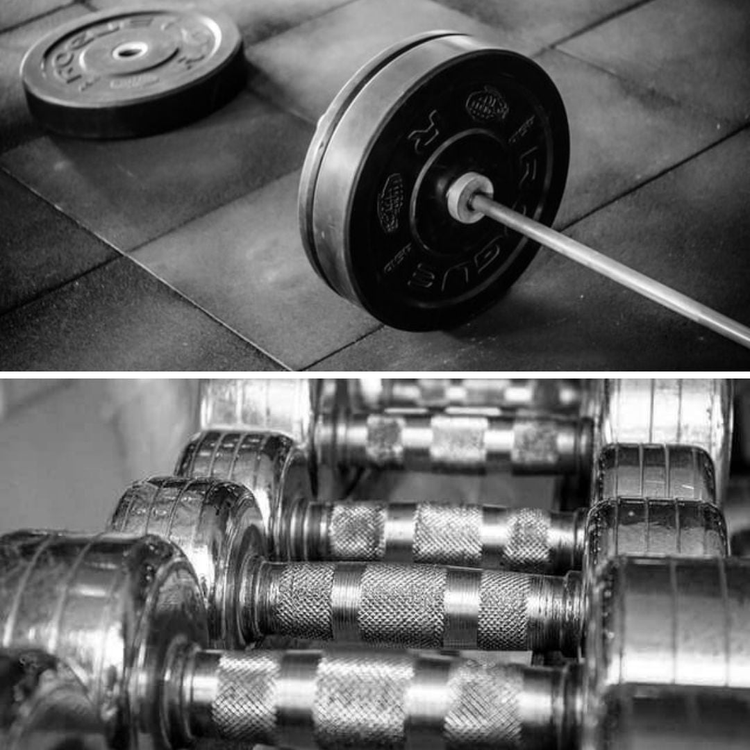 barbell vs dumbbell