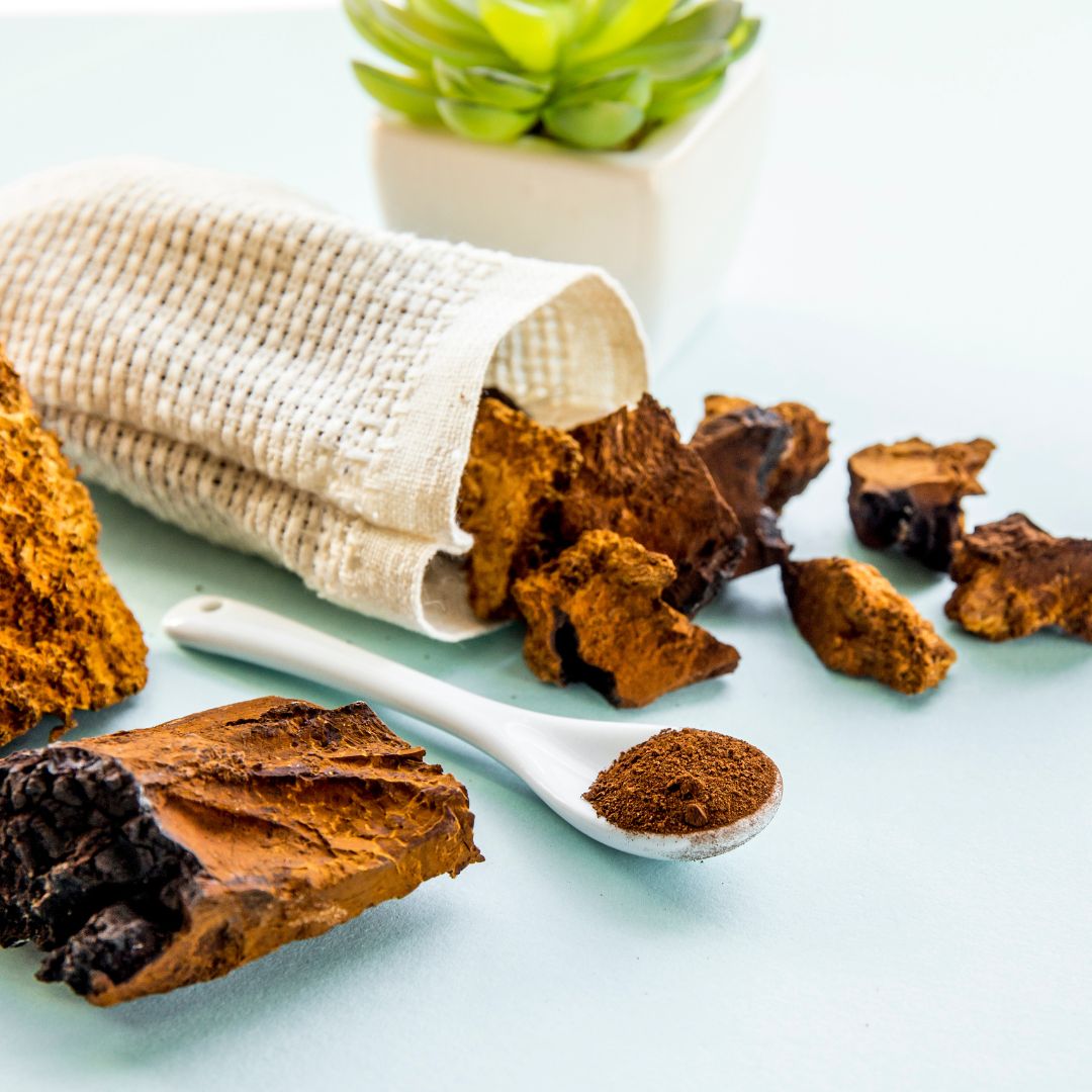 best chaga mushroom supplement
