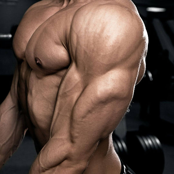 Photo of 7 Finest Triceps Workouts In accordance To Professional Bodybuilders