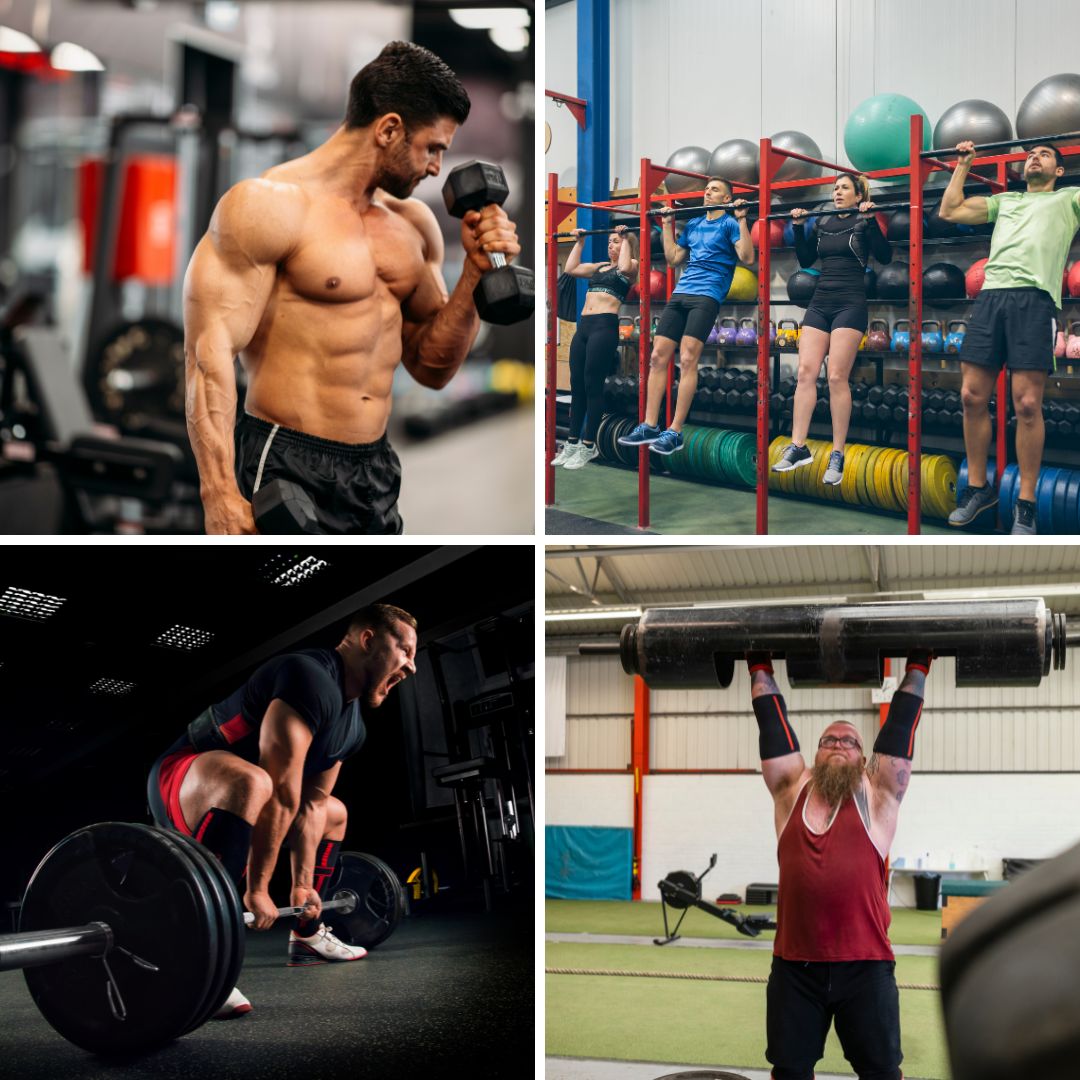 different types of resistance training