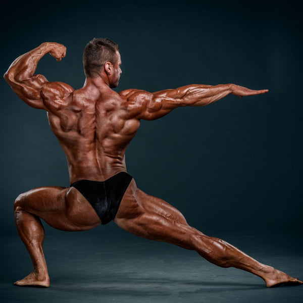 Photo of 24 Finest Isolation Workouts By Muscle Teams