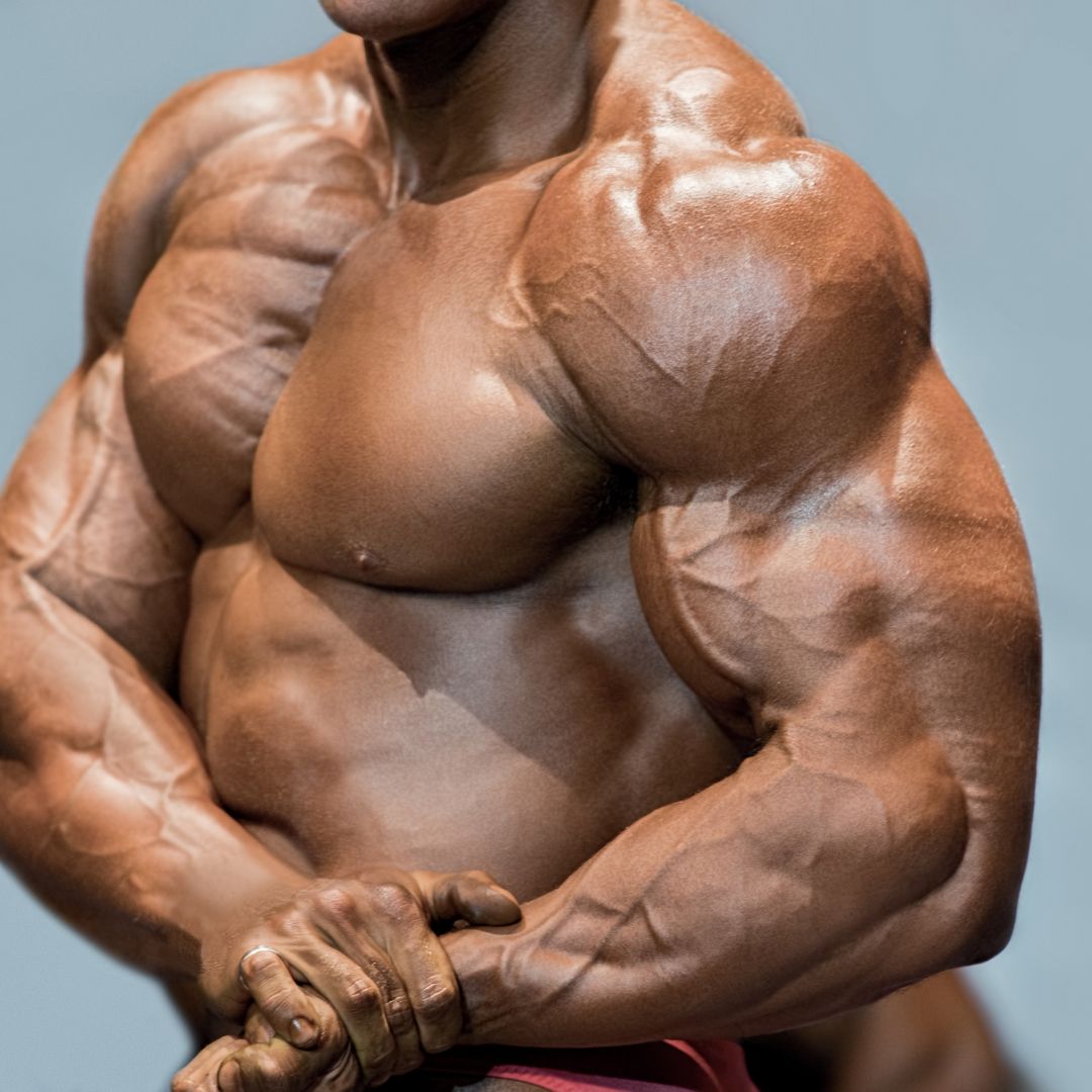 the best chest exercises according to fitness experts