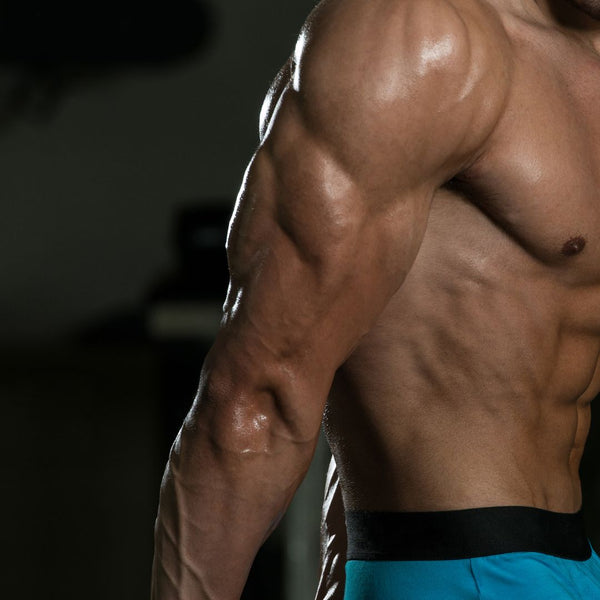 Photo of 10 Finest Triceps Cable Workouts To Develop These Horseshoes