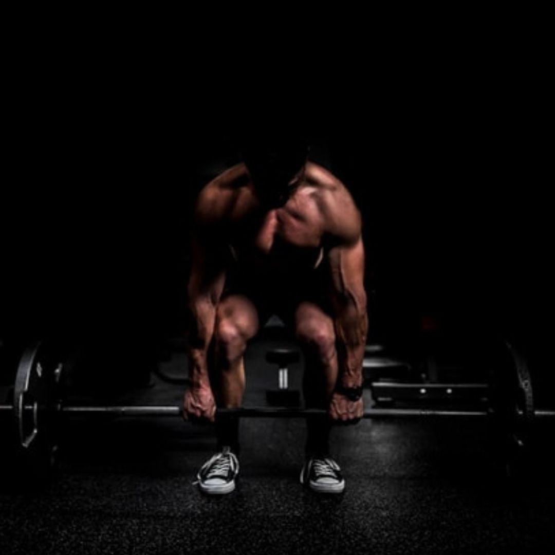 5 day workout split