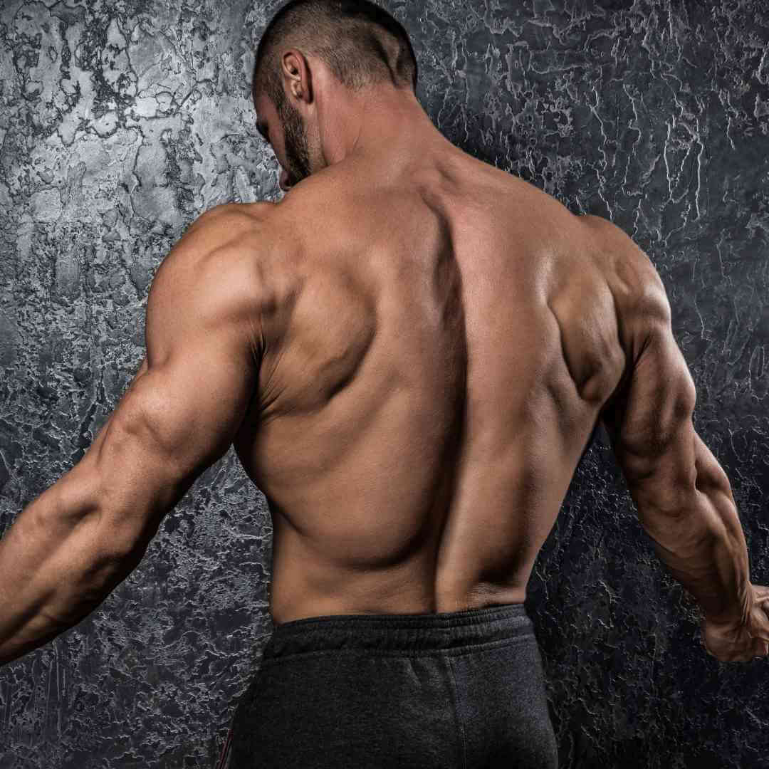 Back Workout At Home