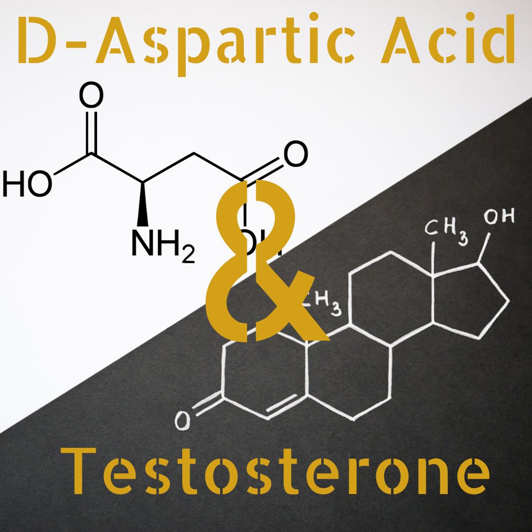 D-Aspartic Acid testosterone
