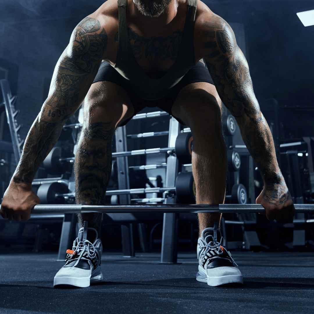 Deadlift vs Squat