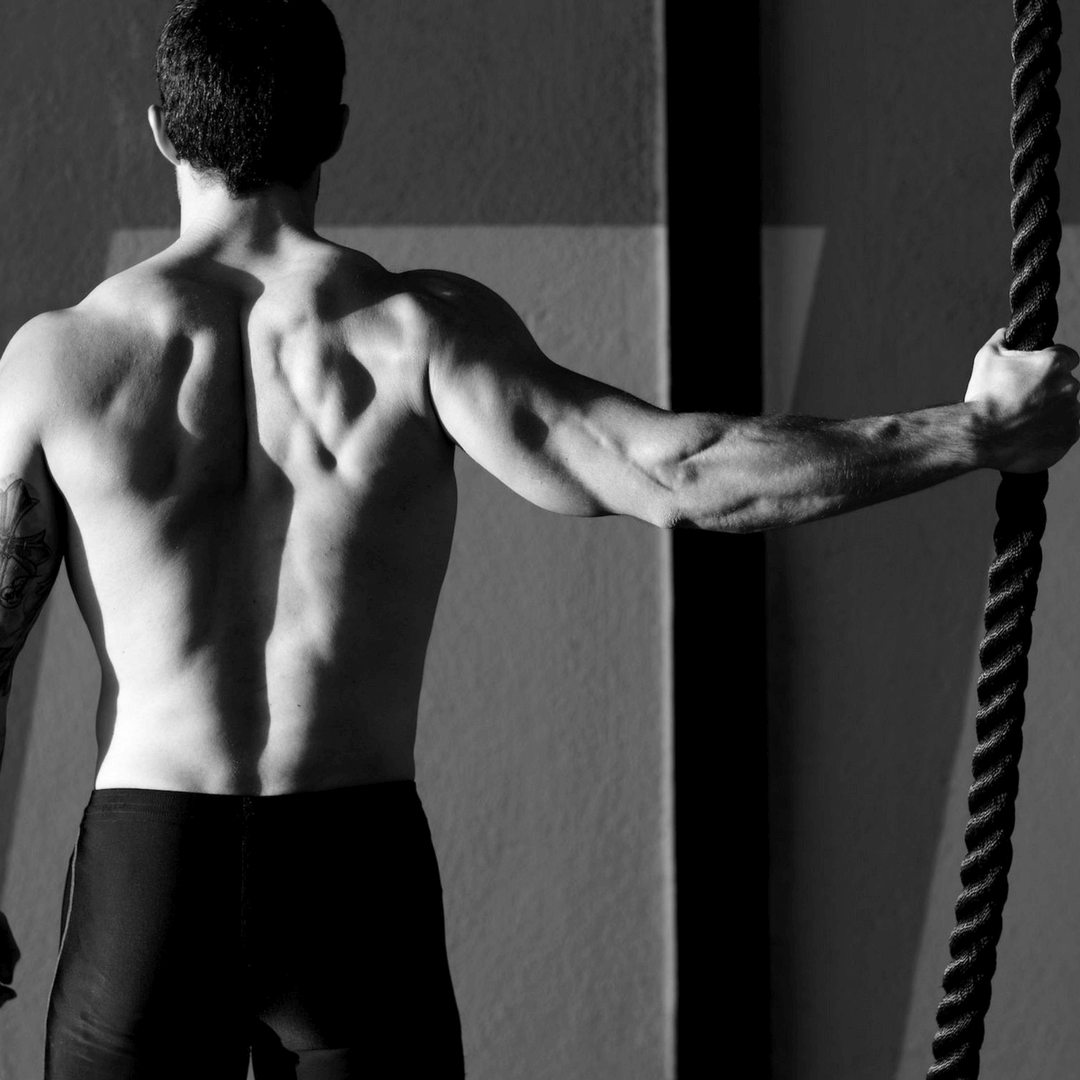 Grip Strength Exercises