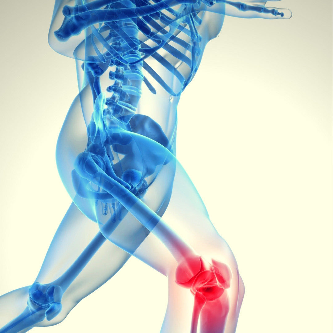 exercises for knee pain