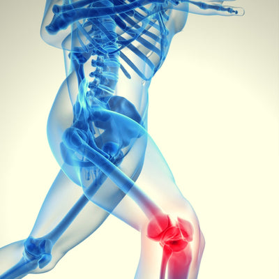 exercises for knee pain