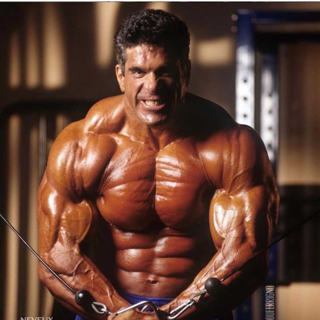 lou ferrigno