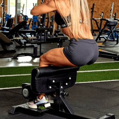 best sissy squat machine