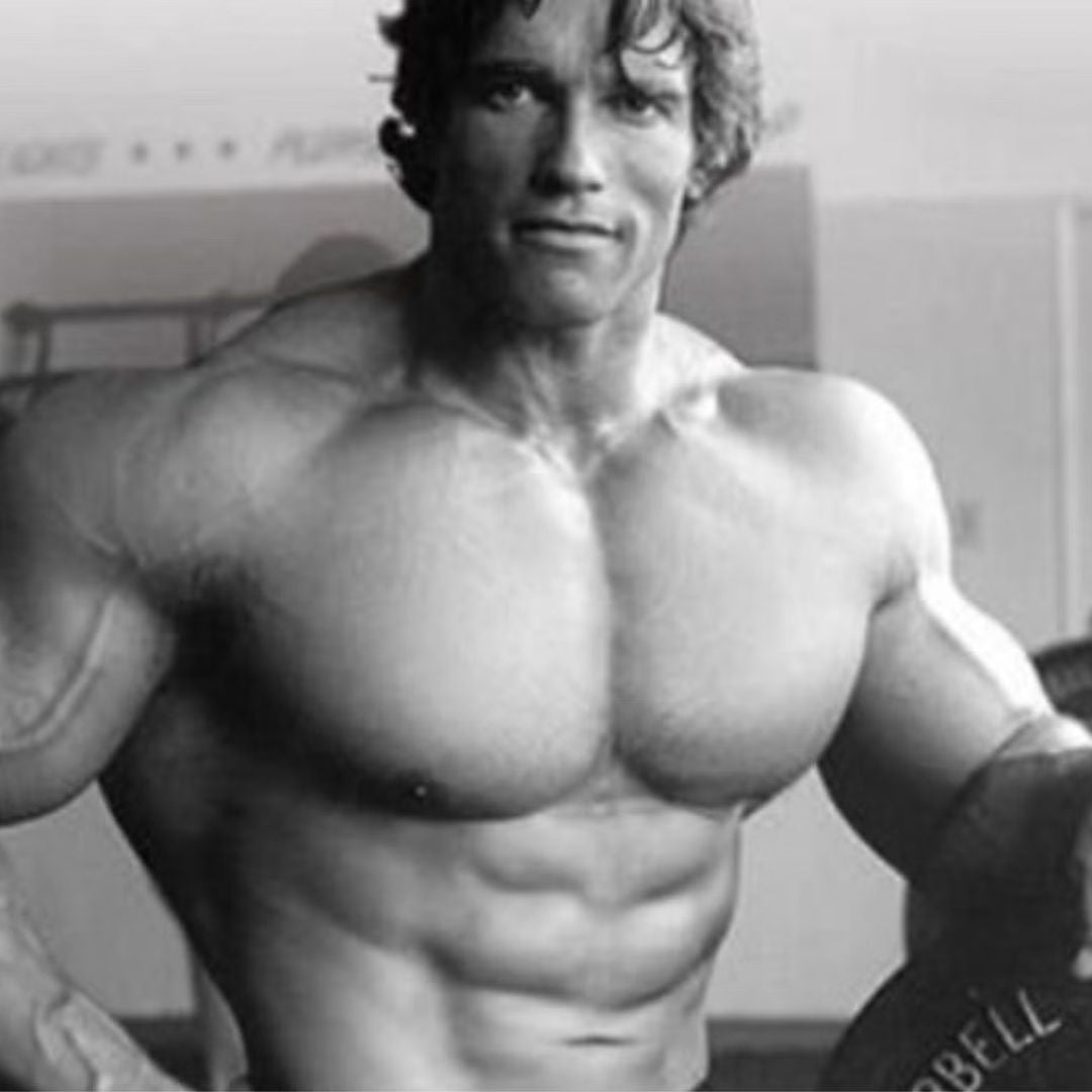 arnold ab workout