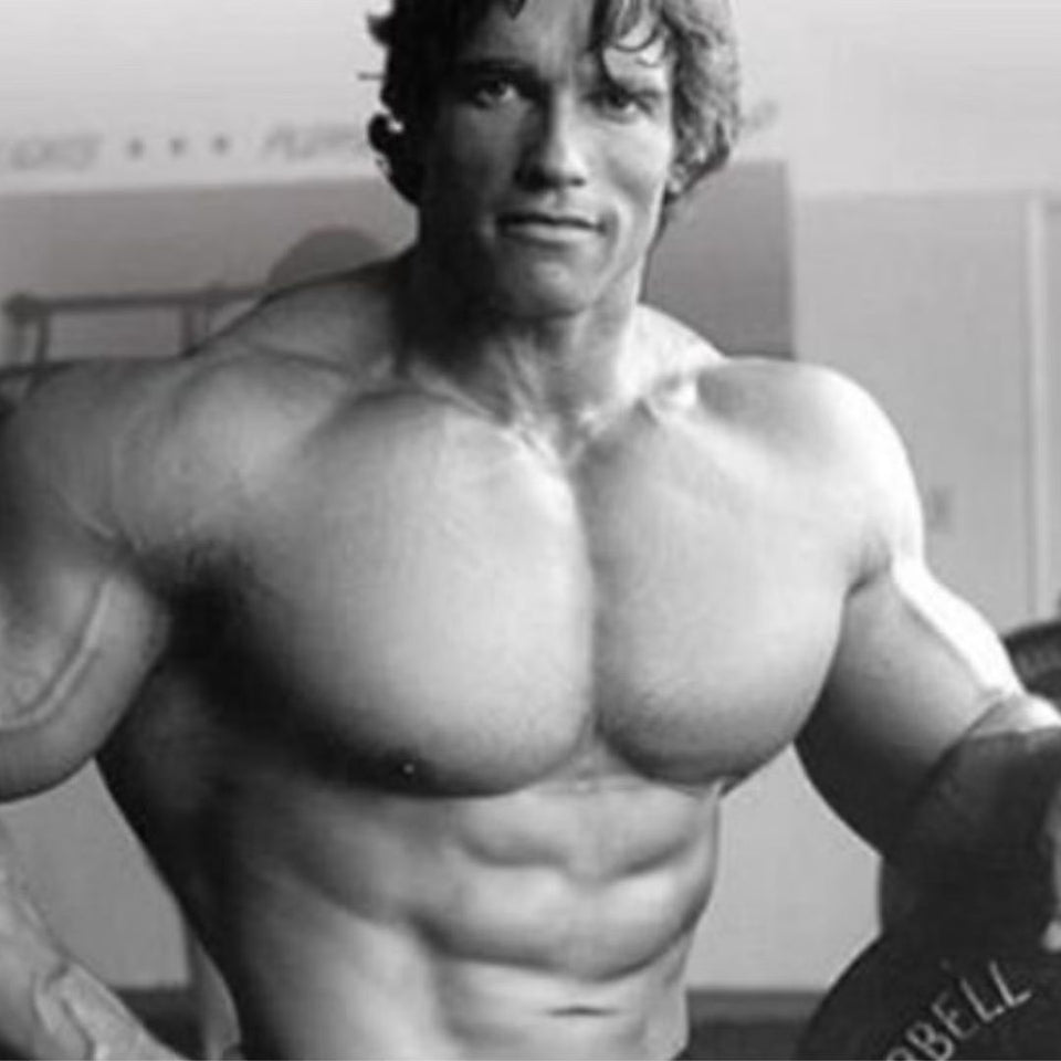 arnold ab workout