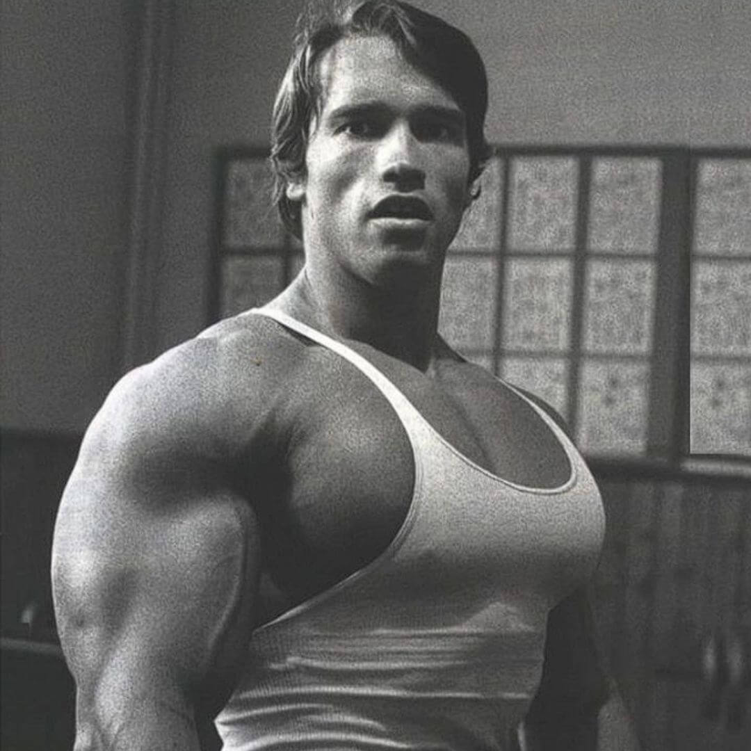arnold chest workout