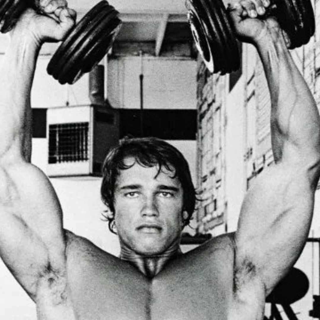 arnold press vs shoulder press
