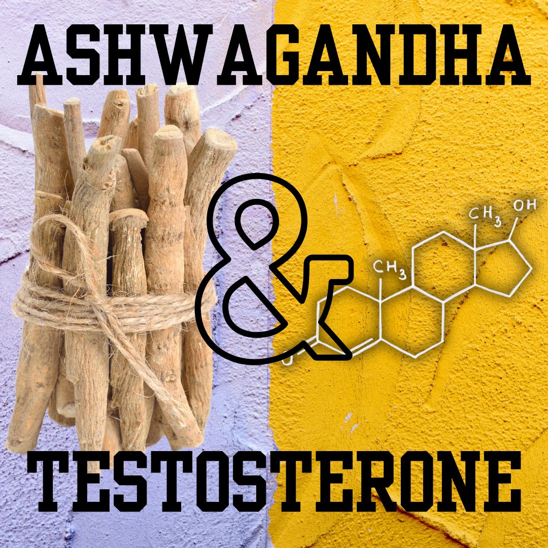 ashwagandha and testosterone