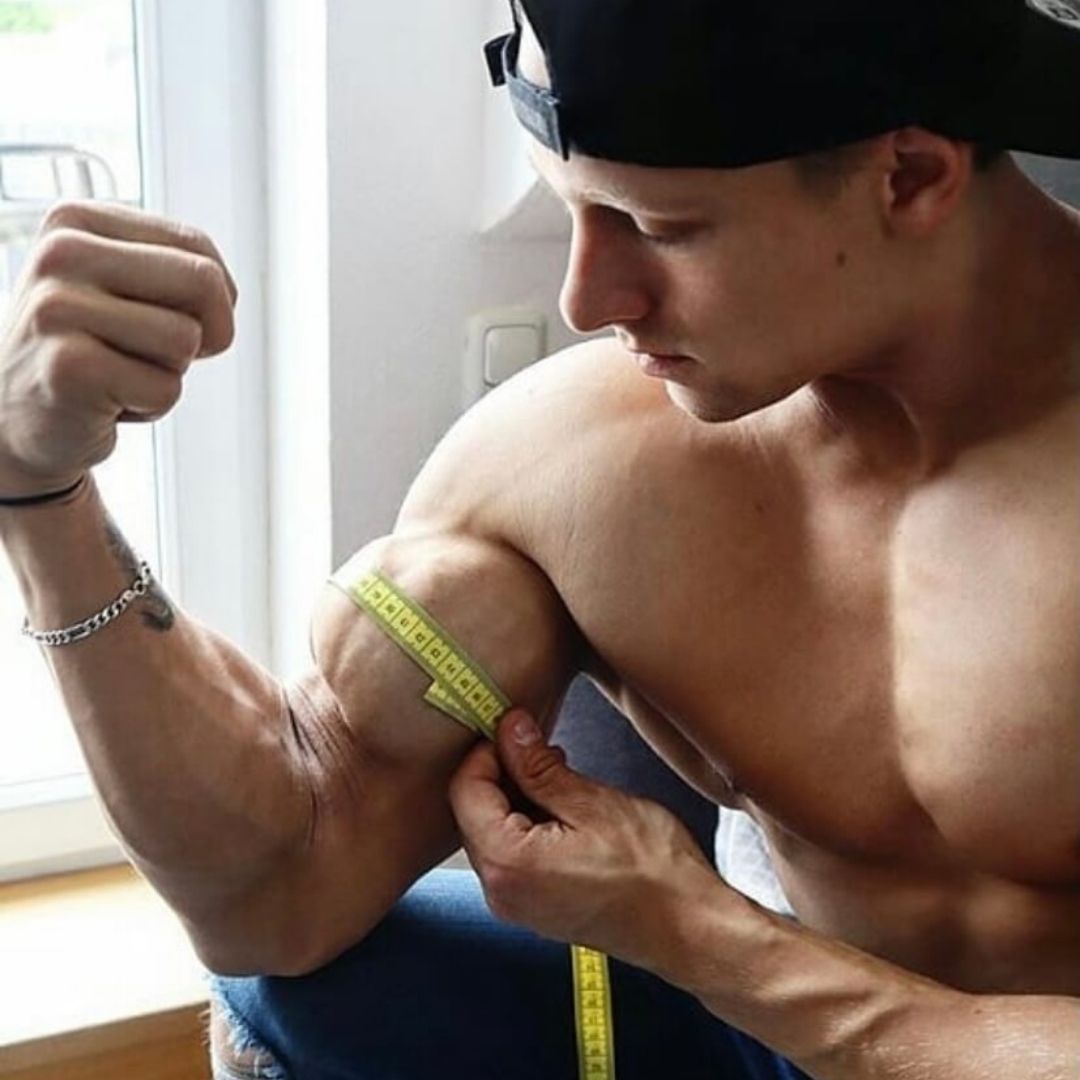 average biceps size