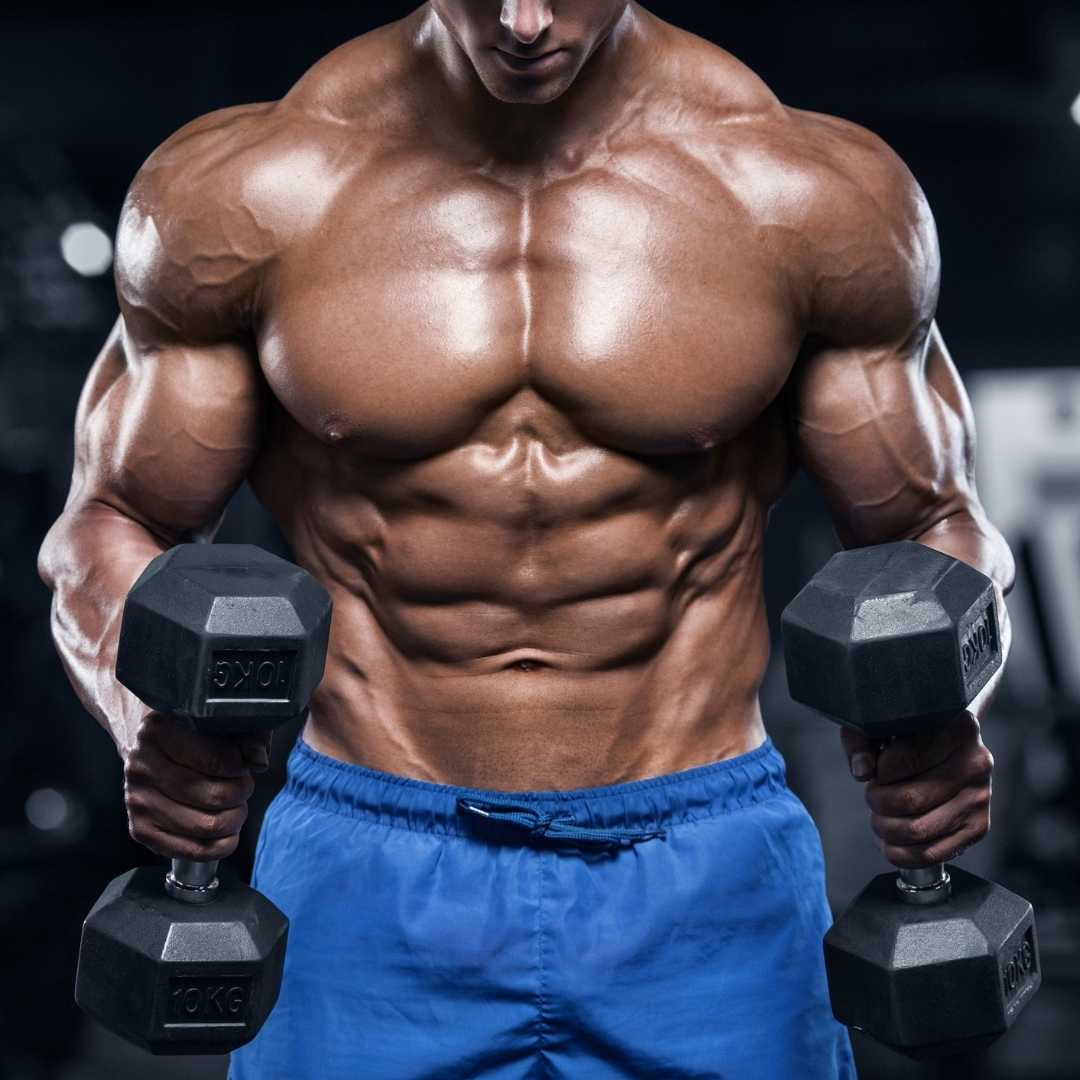 back and chest workout
