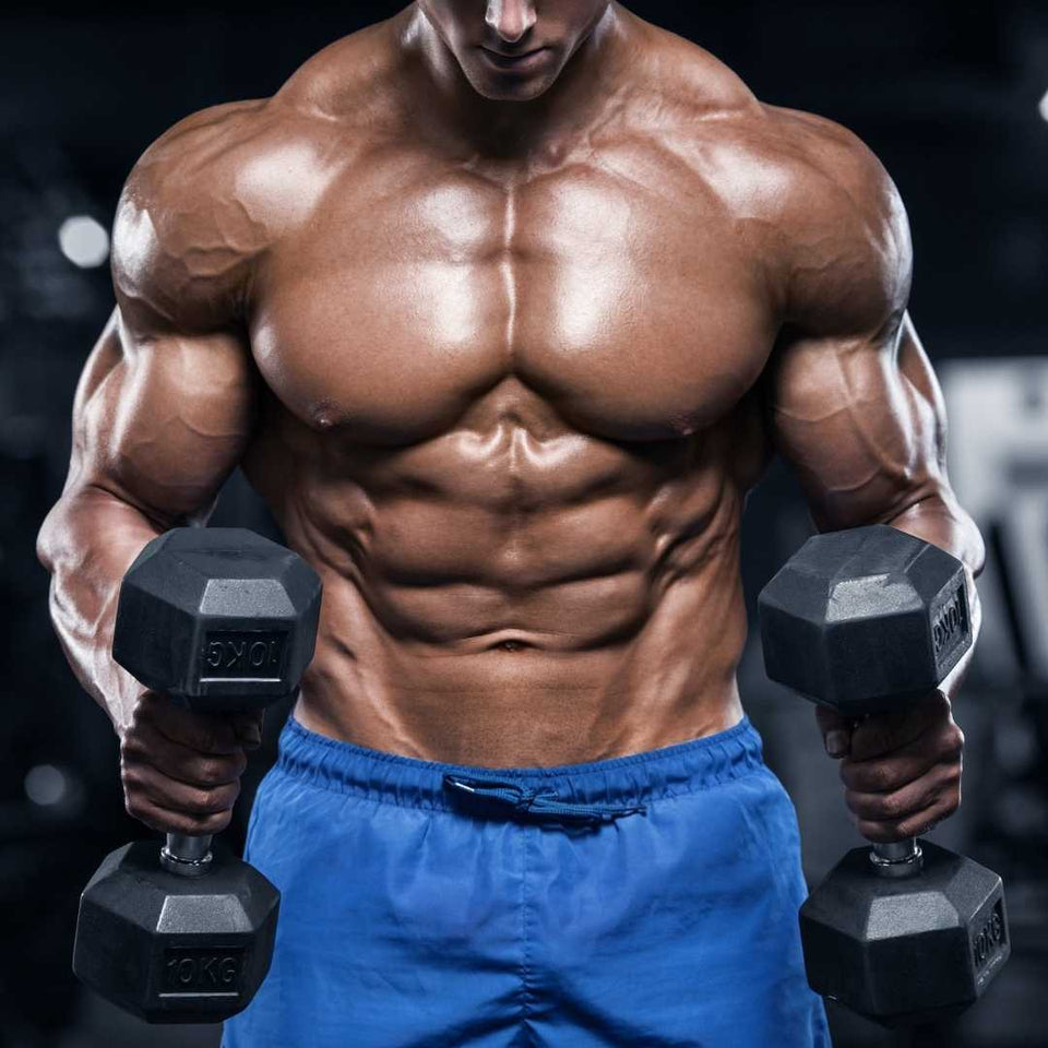 back and chest workout