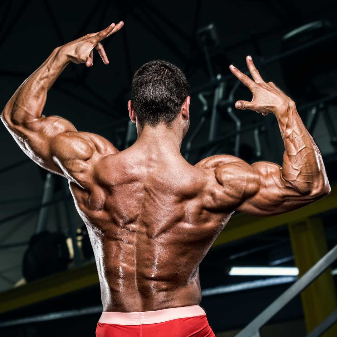Ultimate Back Day Workout: Build a Bigger, Stronger Back – SET FOR SET