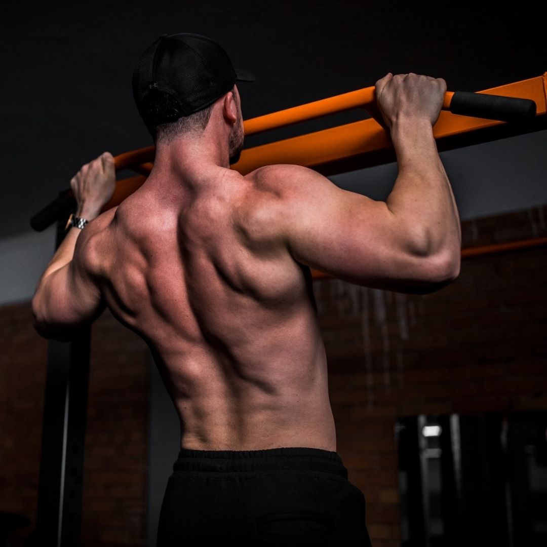 5 Best Back Workouts for Building Muscle & Strength - SET FOR SET
