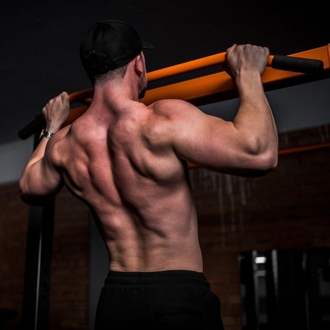 back workouts