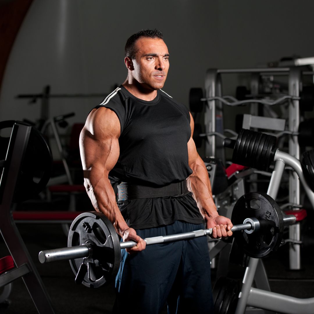 barbell bicep exercises