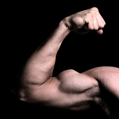 best bicep exercises