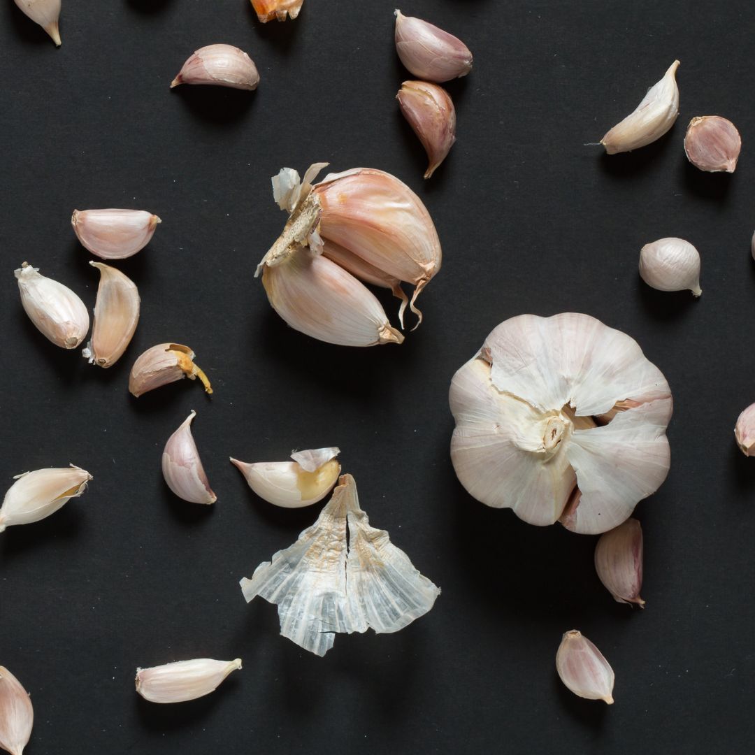 best garlic supplements