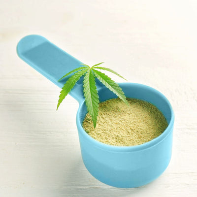 best hemp protein powder