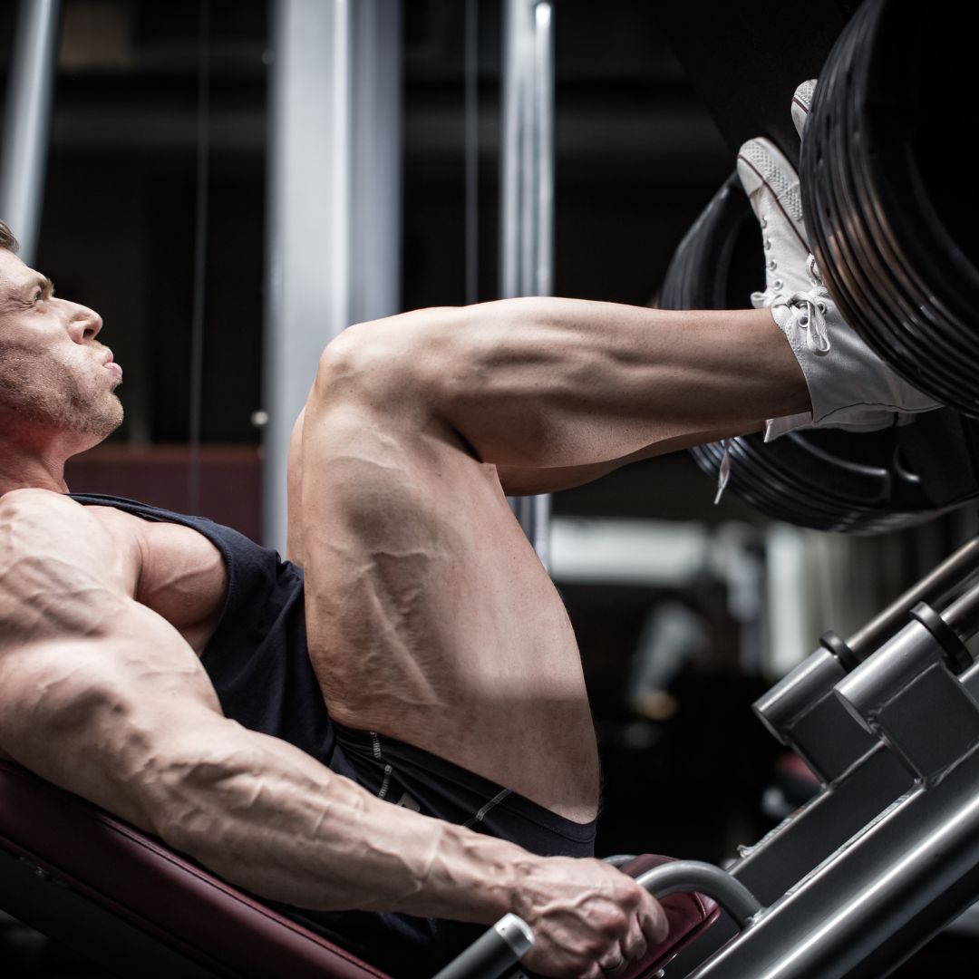 10 Best Leg Machines At The Gym – SET FOR SET