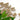 best quercetin supplements