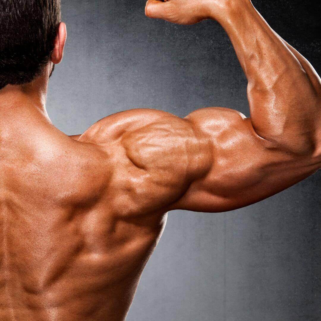 best shoulder exercises