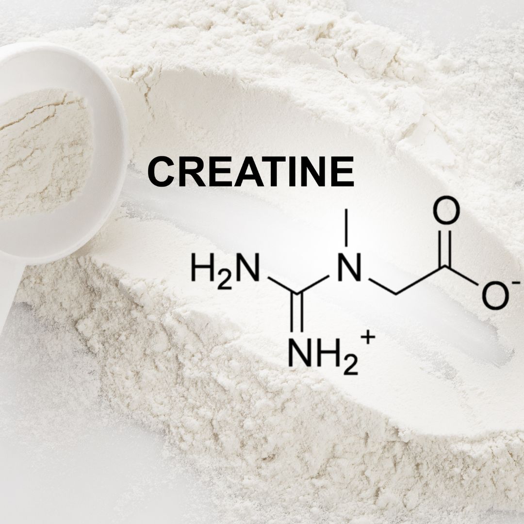 best types of creatine