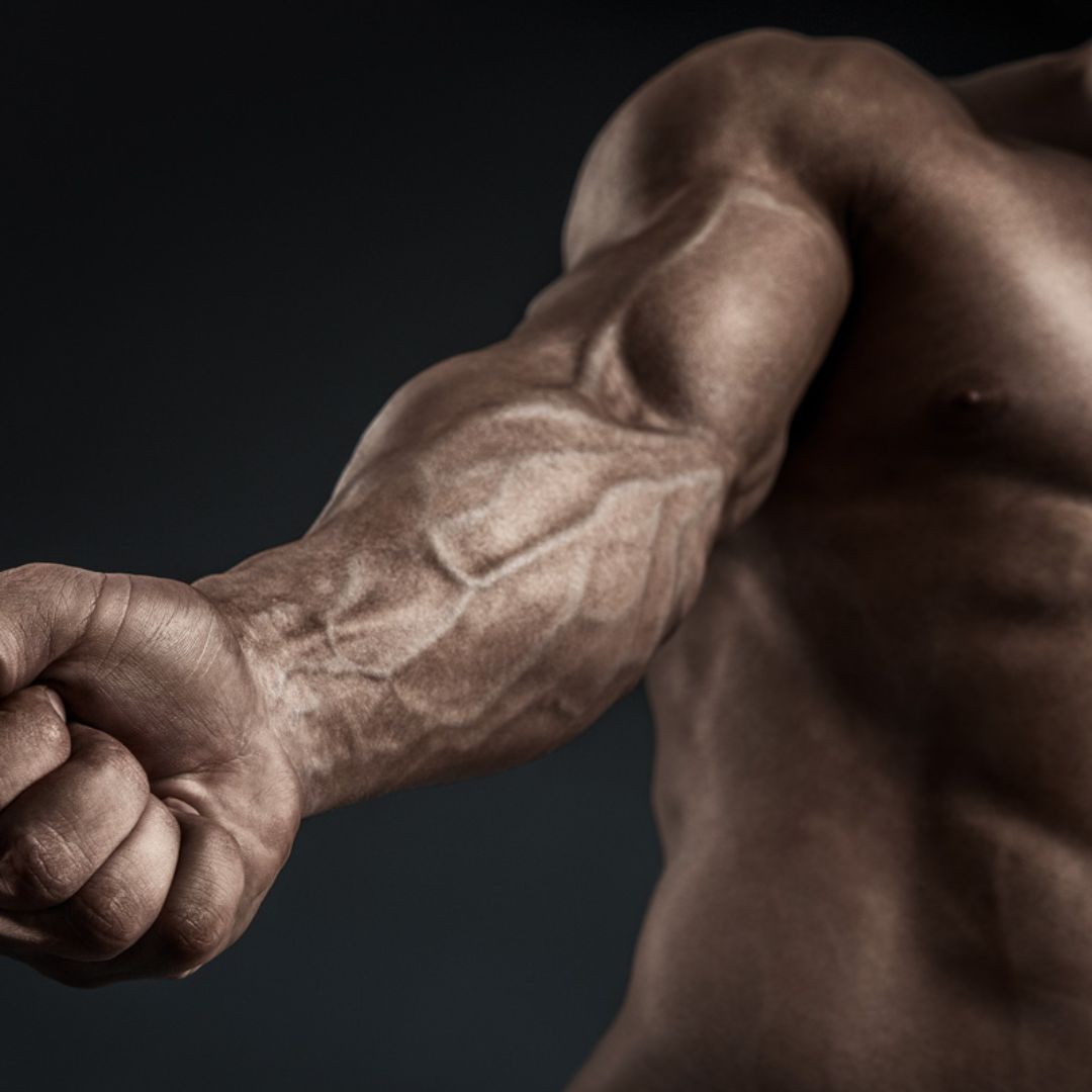 bicep stretches