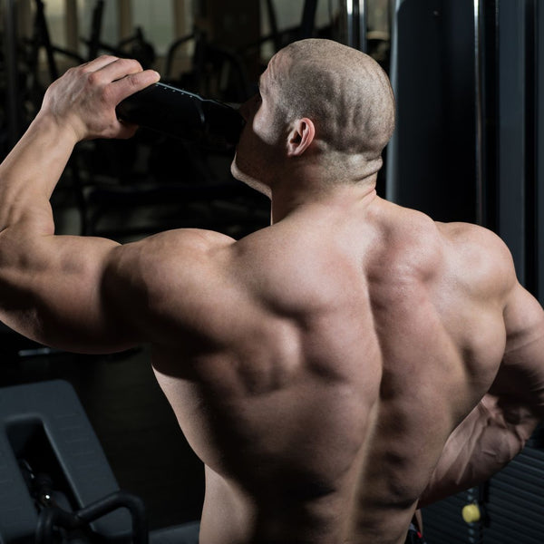 bodybuilder