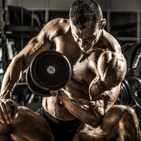 The Ultimate Bodybuilding Program: Beginner To Advanced – SET FOR SET
