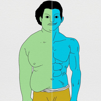 bodyrecomposition