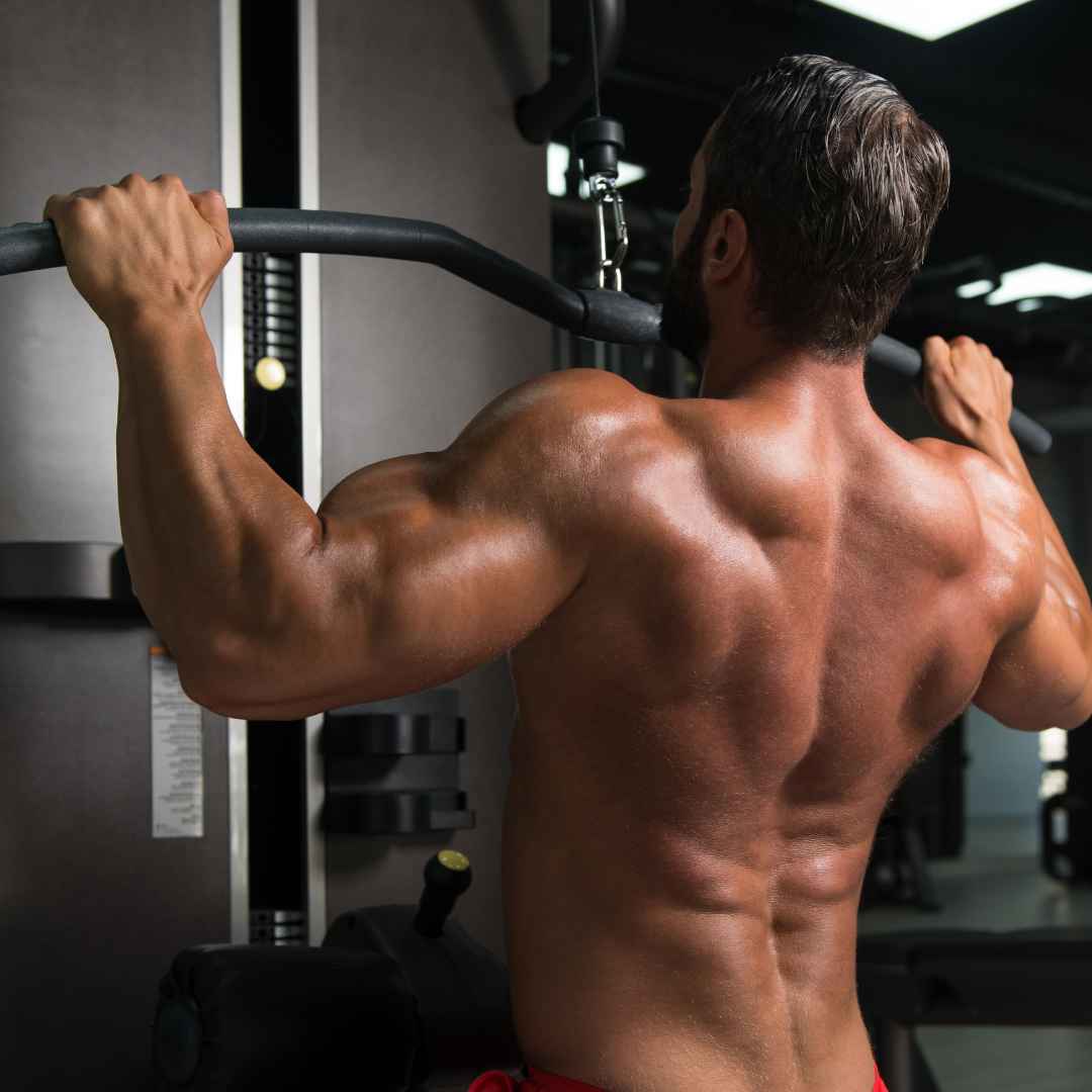 Arms & Back Workout