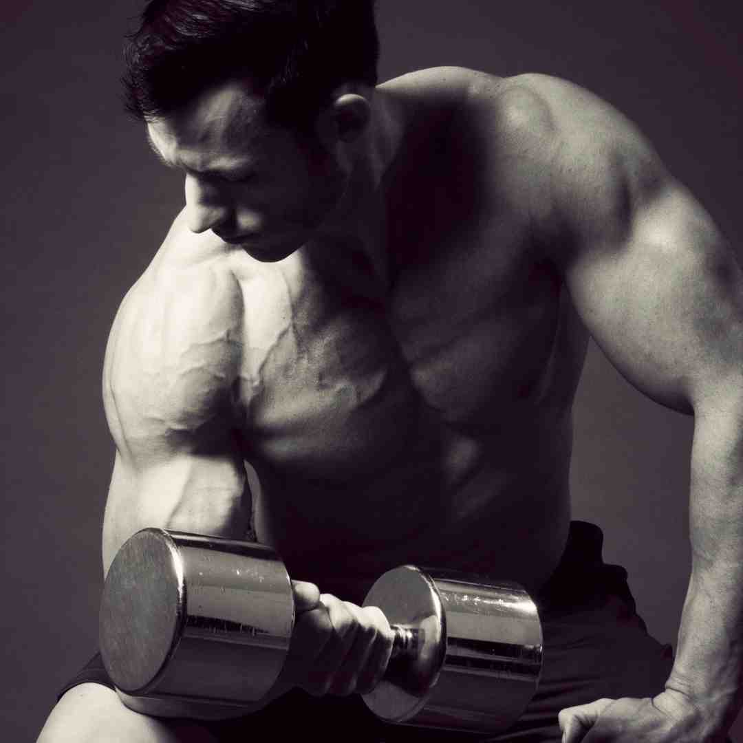 concentration curls