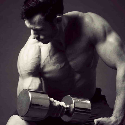 concentration curls