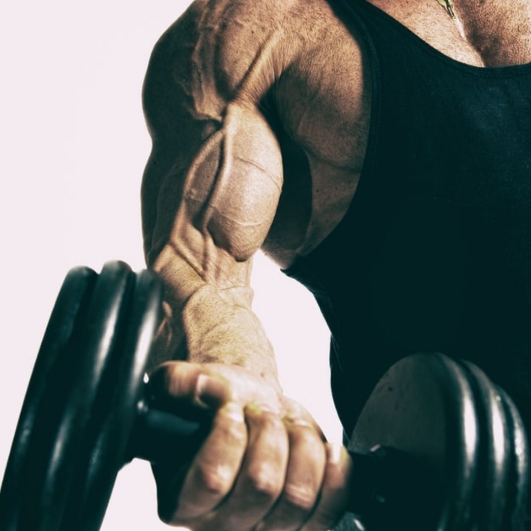 concentric vs eccentric