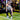 deadlift with resistance band
