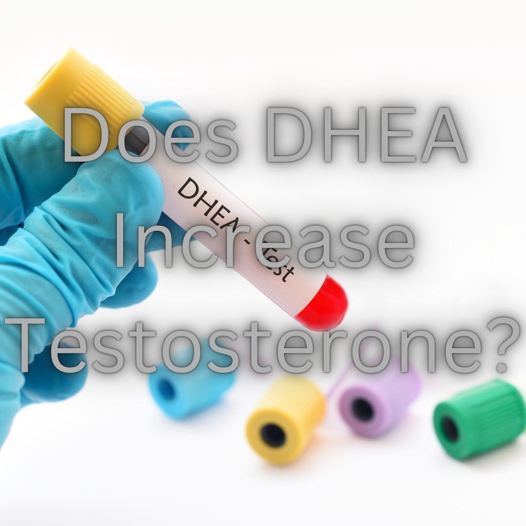 dhea testosterone booster dhea for men
