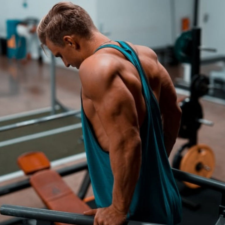 Dips Guide: 15 Variations, Muscles Worked, How To, & Benefits – SET FOR SET